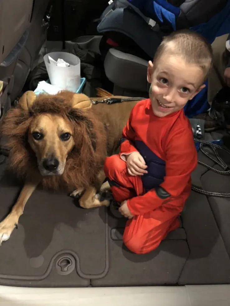 Dog wearing a lion mane costume sitting next to a smiling boy in a red costume