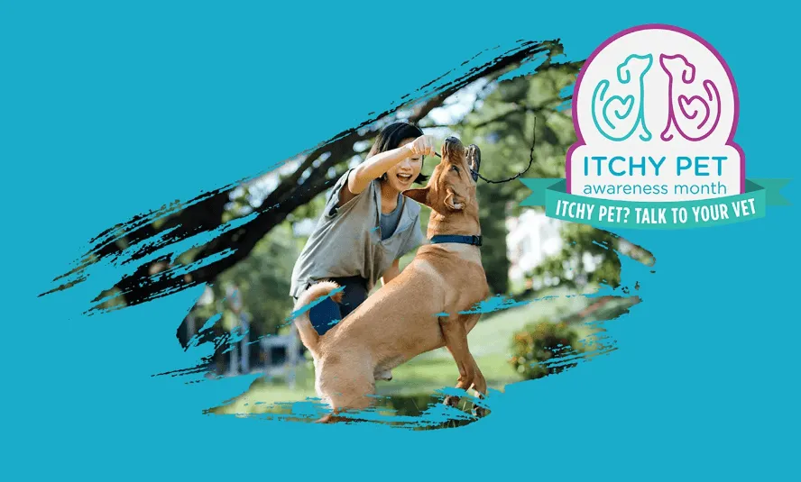 Itchy Pet Awareness Month graphic: a dog scratching outdoors next to the message Itchy pet? Talk to your vet